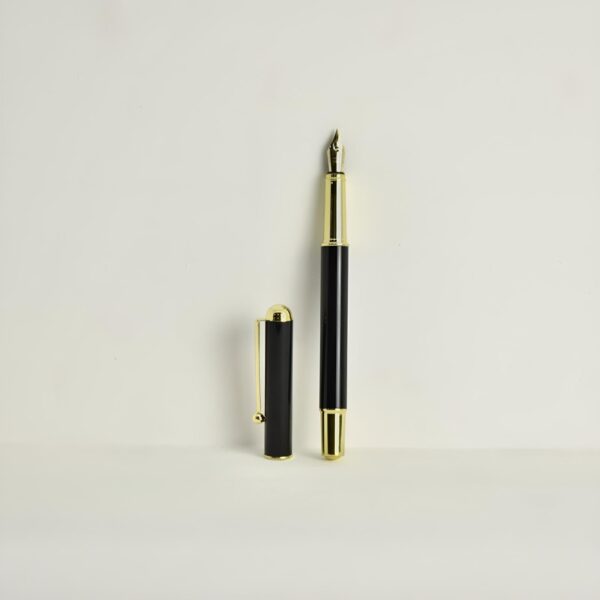 *Pluma Estilográfica N°2 - Negra