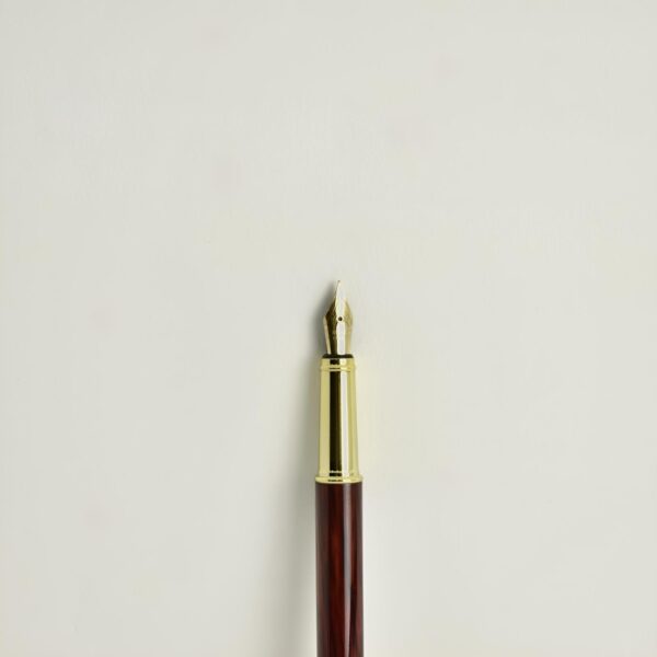 *Pluma Estilográfica N°2 - Diseño madera - Imagen 2